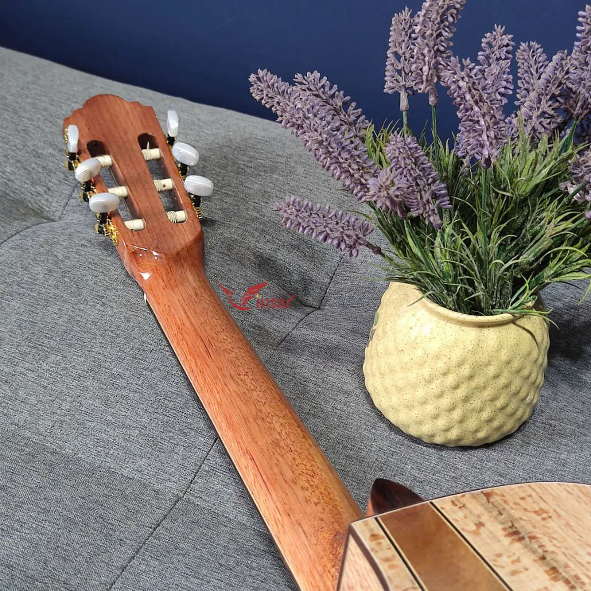 C6K GUITAR CLASSIC GỖ SỒI PHÁP LƯNG 3 MẢNH