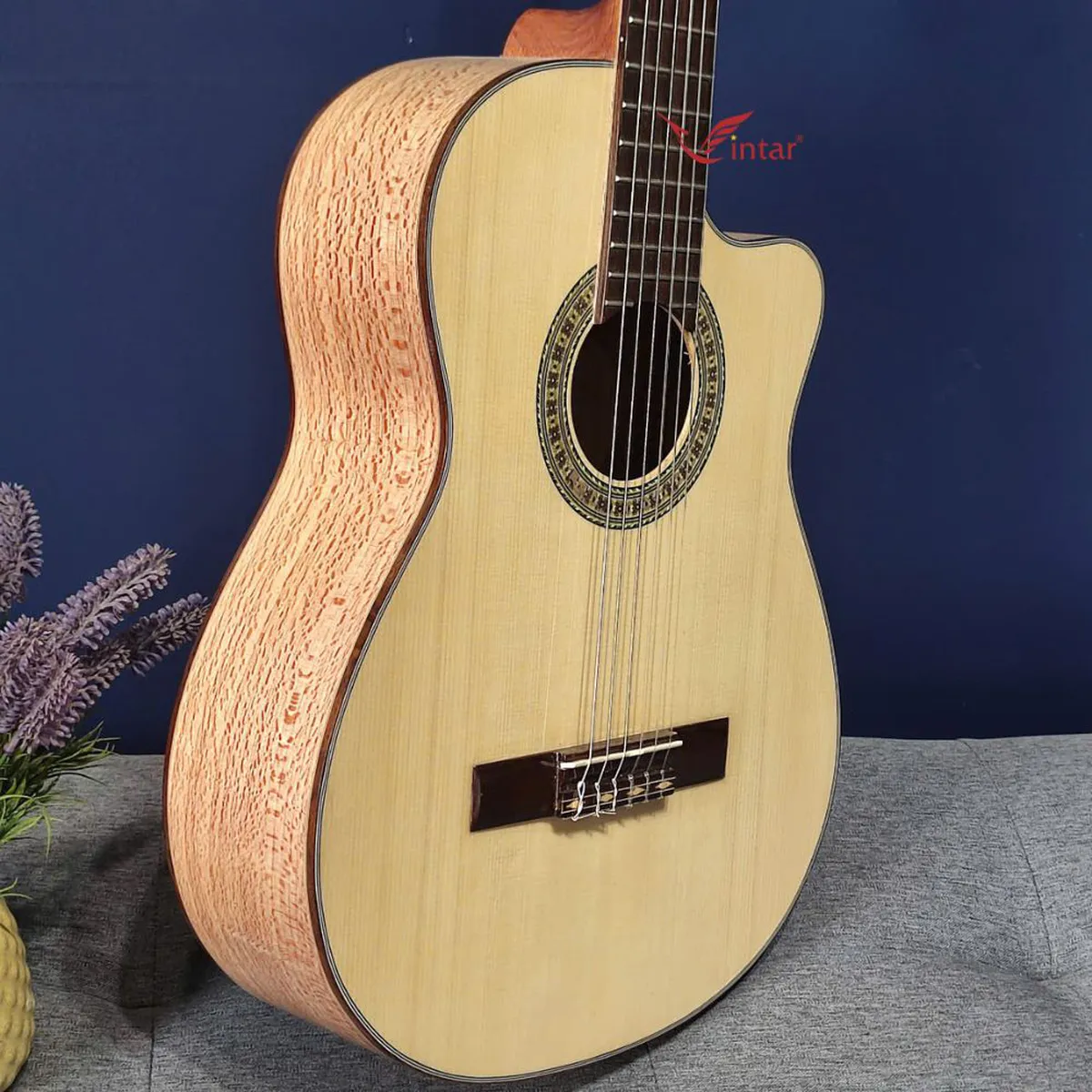 C6K GUITAR CLASSIC GỖ SỒI PHÁP LƯNG 3 MẢNH