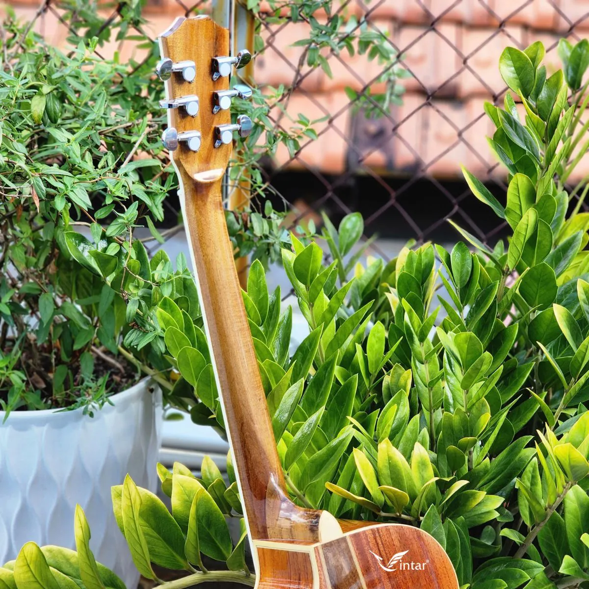 A4V - ĐÀN GUITAR ACOUSTIC GỖ HỒNG ĐÀO CAO CẤP