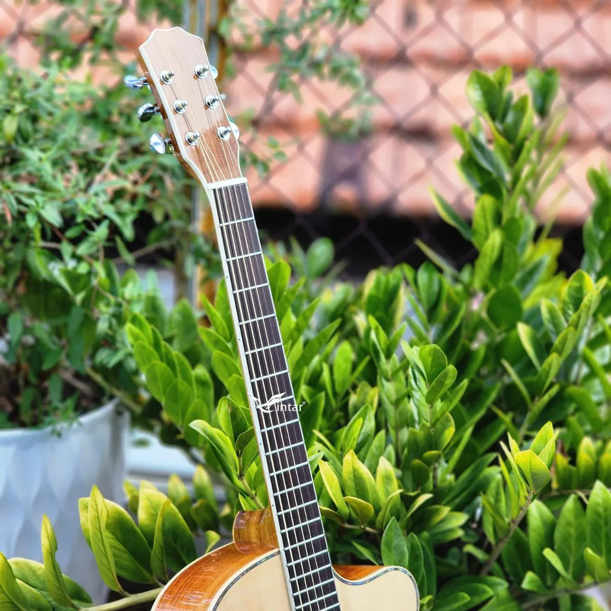 A4V - ĐÀN GUITAR ACOUSTIC GỖ HỒNG ĐÀO CAO CẤP