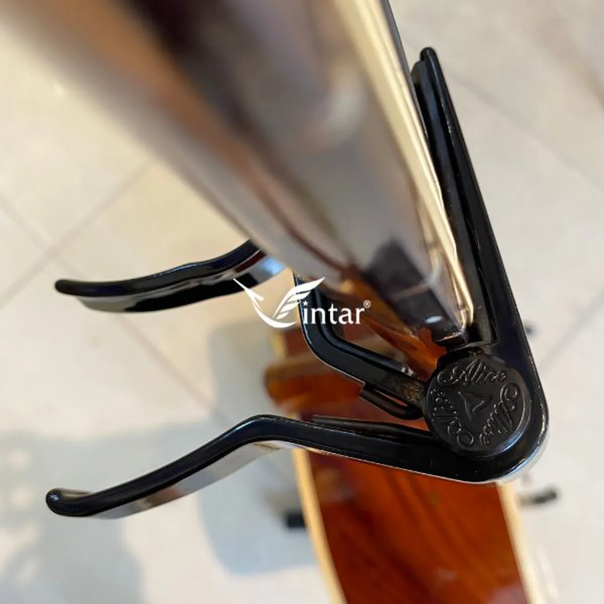 Capo Alice Màu  Đen Dáng D A007D