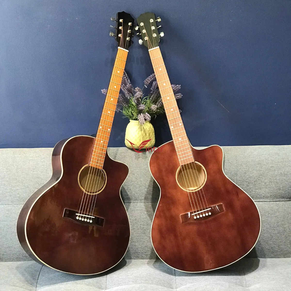A1K NÂU -  GUITAR ACOUSTIC TẬP CHƠI MÀU NÂU