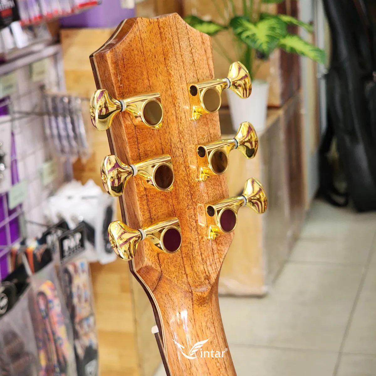 FA6V - ĐÀN GUITAR ACOUSTIC FULL GỖ SỒI PHÁP CAO CẤP CÓ BAVEL 