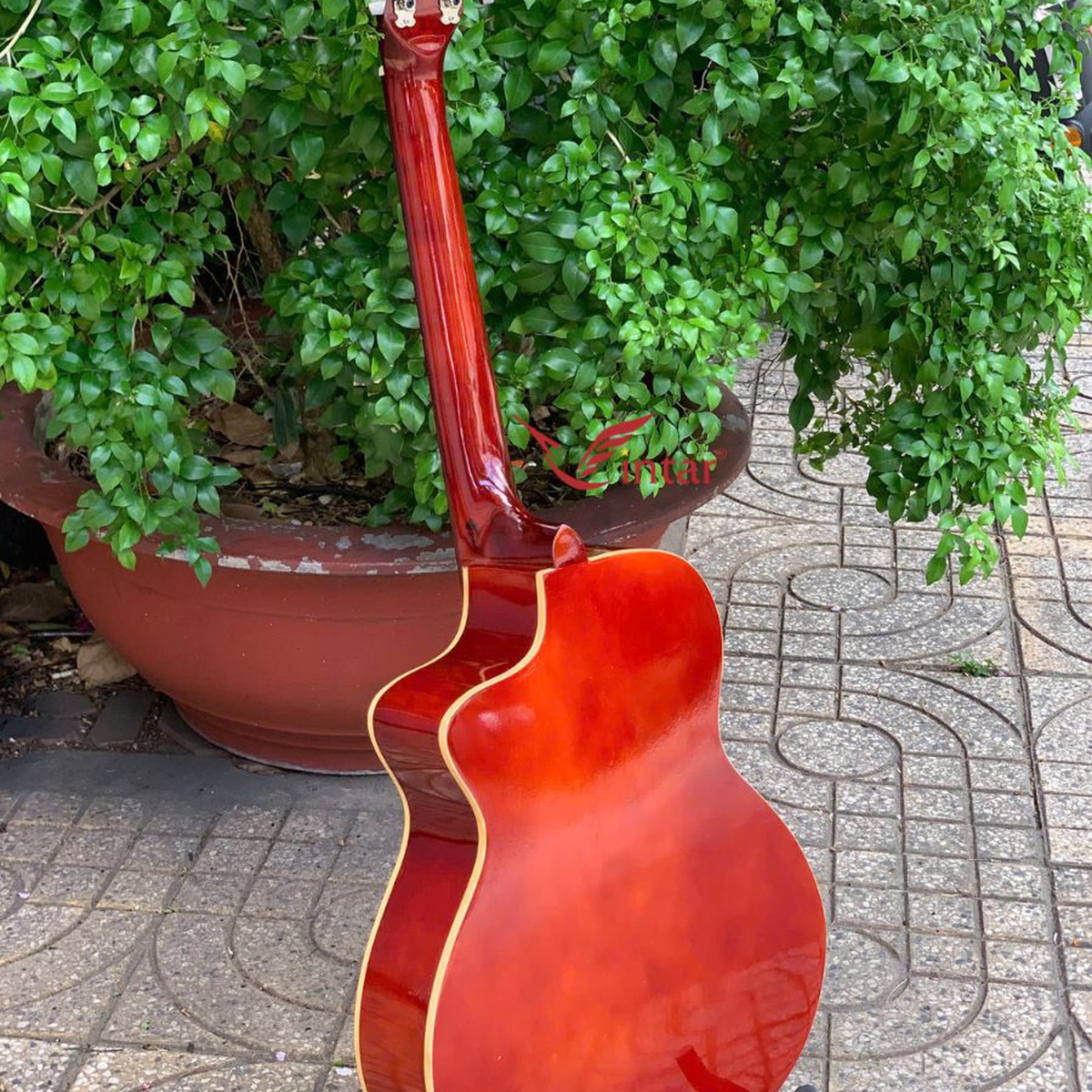 A1MIN - ĐÀN GUITAR ACOUSTIC MINI SIZE 3/4 