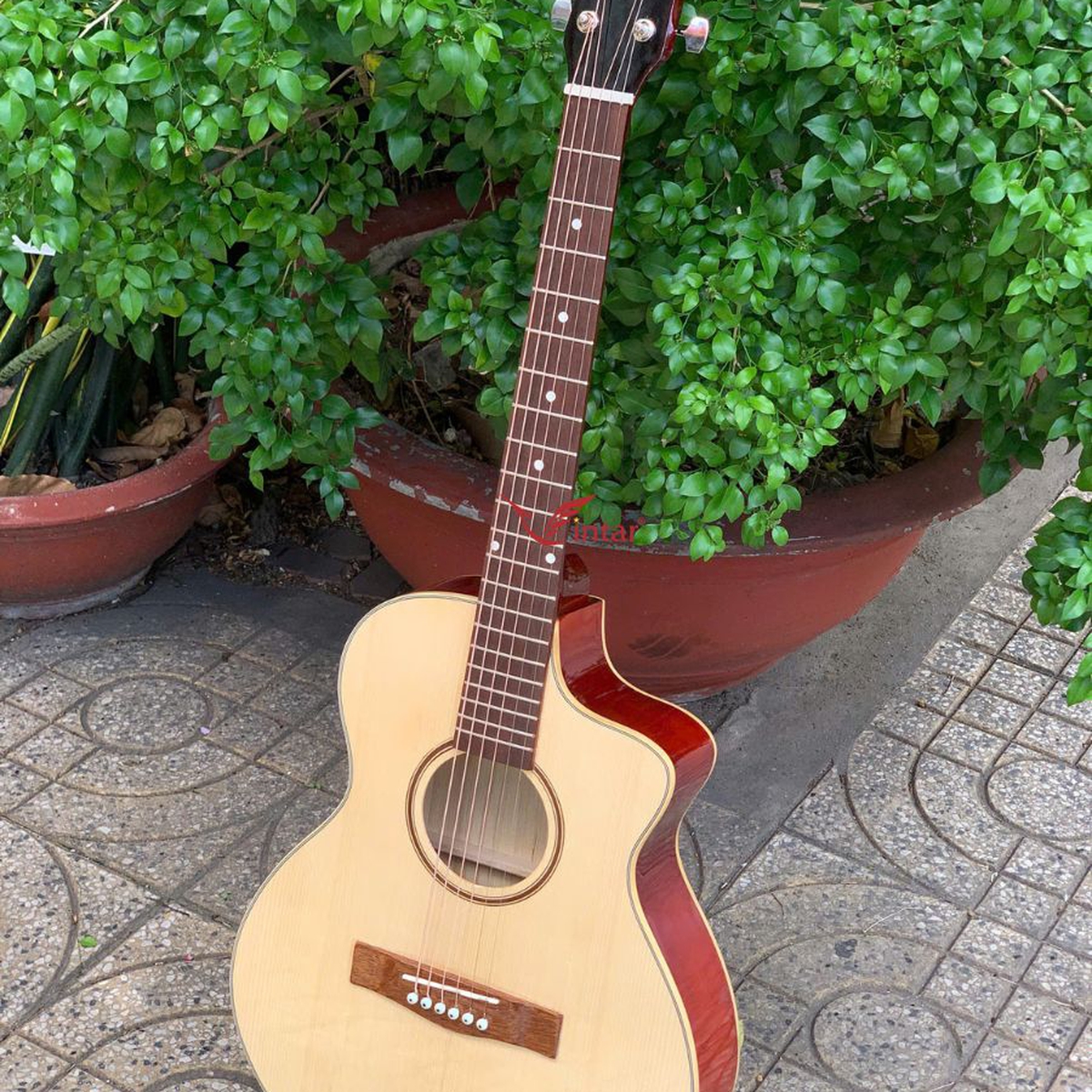A1MIN - ĐÀN GUITAR ACOUSTIC MINI SIZE 3/4 