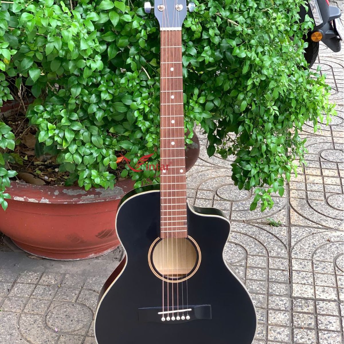 A1MIN-BK ĐÀN GUITAR MINI ACOUSTIC 3/4 MÀU ĐEN 