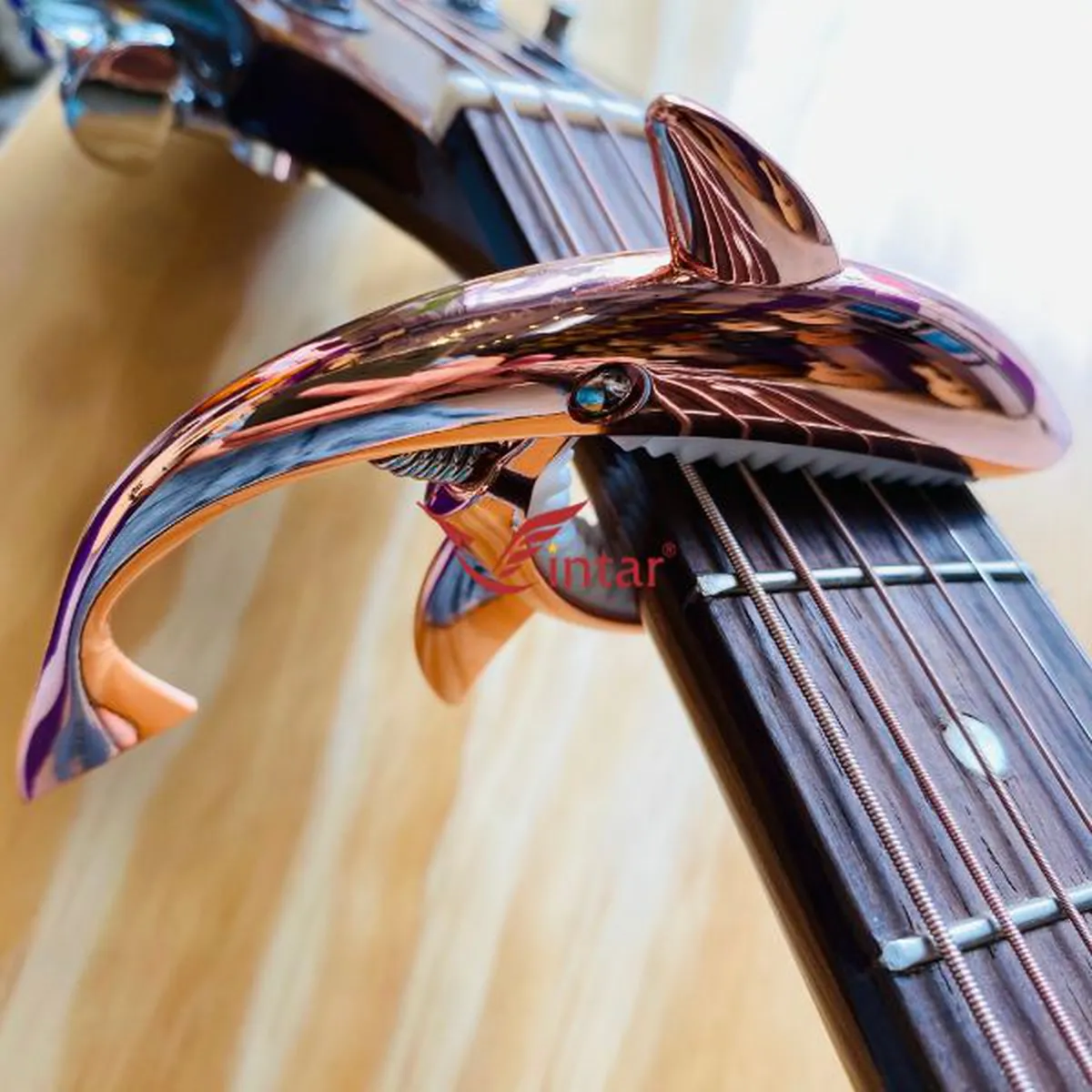 Capo Guitar Cá Mập