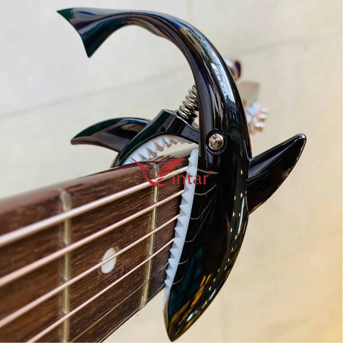 Capo Guitar Cá Mập