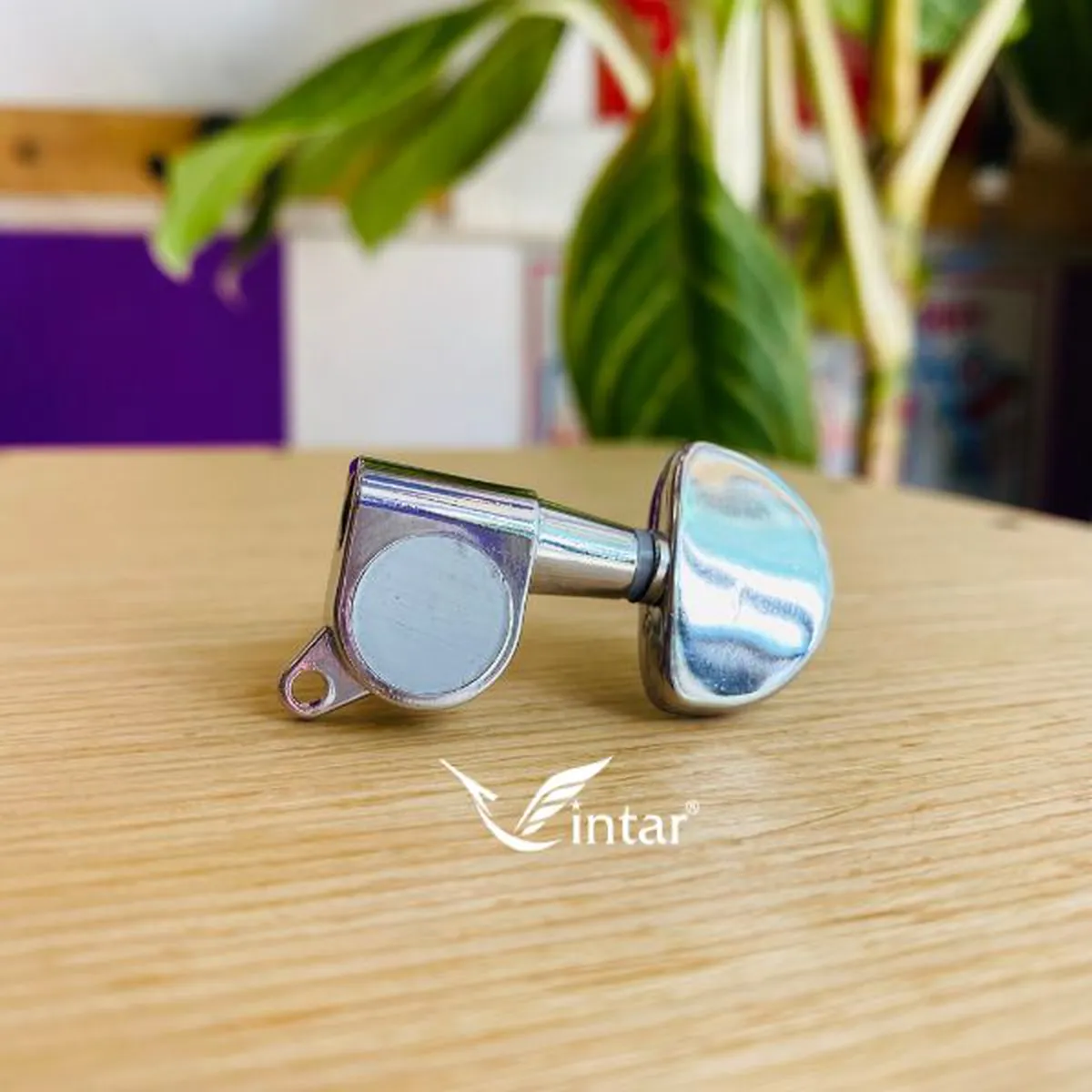 Khóa Đúc Trắng Đàn Acoustic Thường