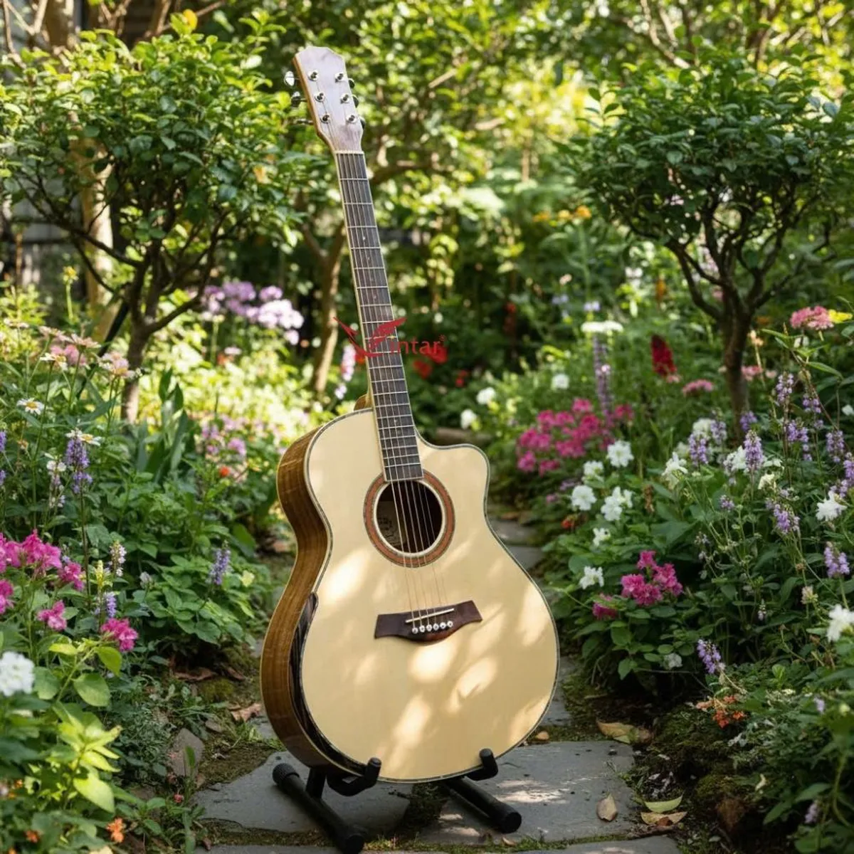 A4VKOA _GUITAR ACOUSTIC GỖ KOA CÓ BAVEL CAO CẤP