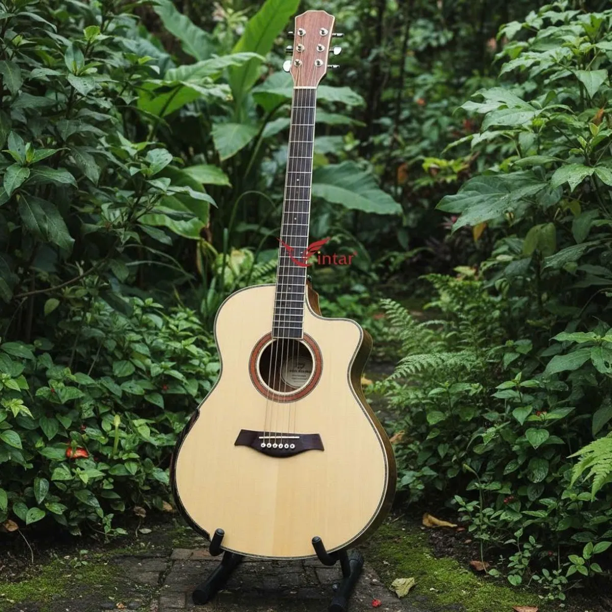 A4VKOA _GUITAR ACOUSTIC GỖ KOA CÓ BAVEL CAO CẤP