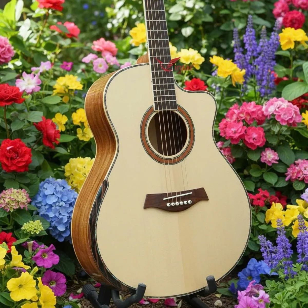 A4VKOA _GUITAR ACOUSTIC GỖ KOA CÓ BAVEL CAO CẤP