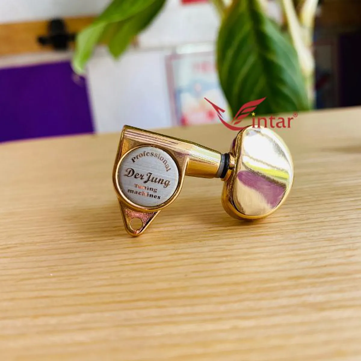 Khóa Acoustic Đúc Derjung Vàng Cao Cấp