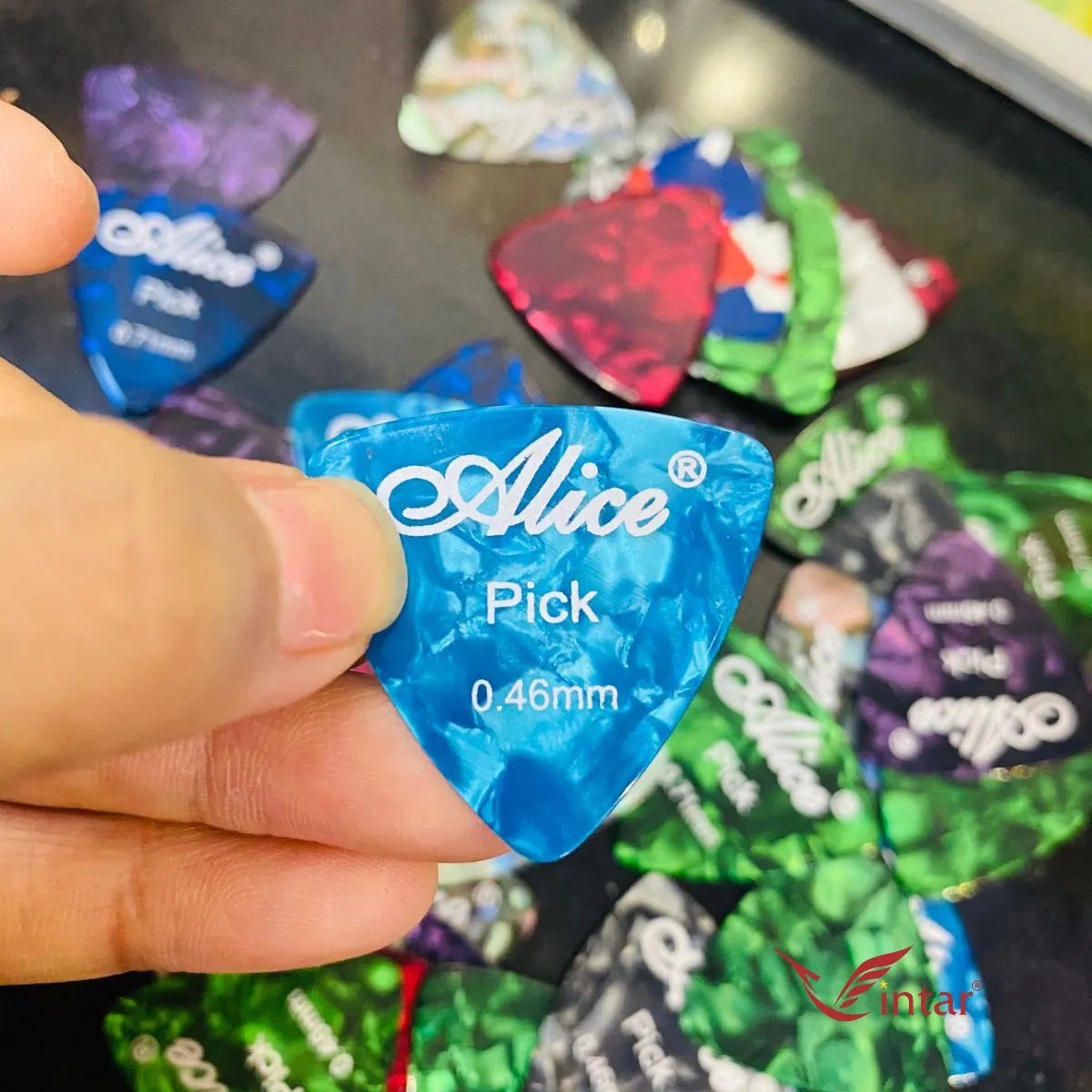 Nguyên Hộp Pick Đàn Alice Tam Giác Nguyên Hộp (100 cái)