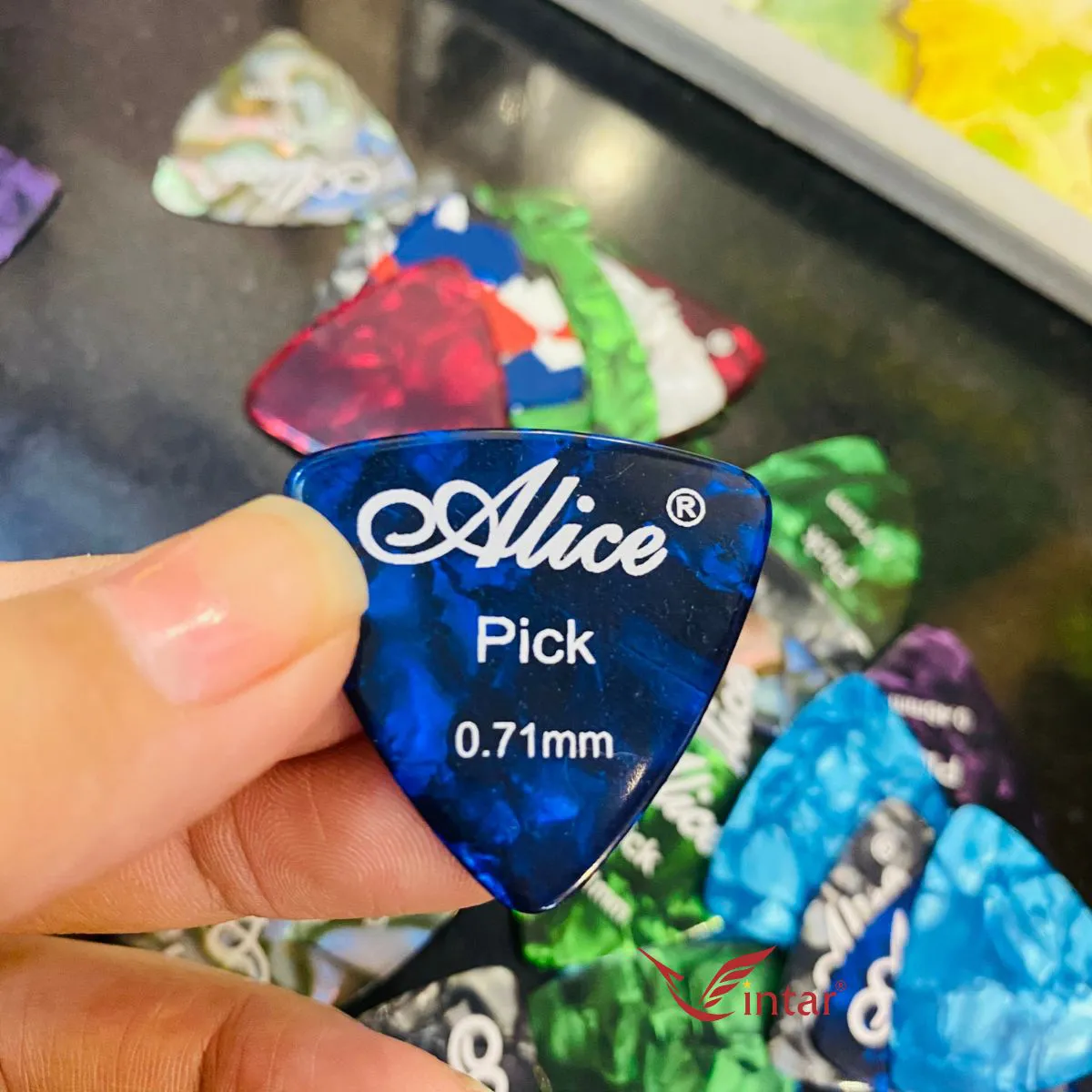 Nguyên Hộp Pick Đàn Alice Tam Giác Nguyên Hộp (100 cái)