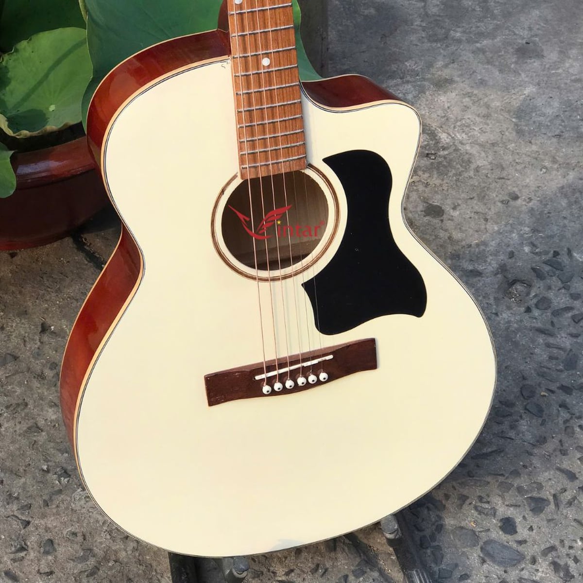 A1SK ĐÀN GUITAR ACOUSTIC GIÁ RẺ MẶT SƠN KEM