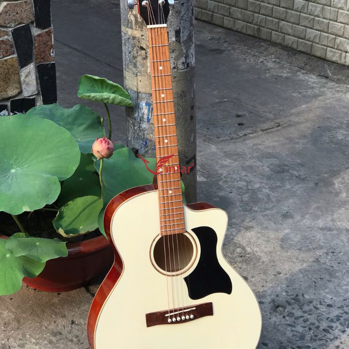 A1SK ĐÀN GUITAR ACOUSTIC GIÁ RẺ MẶT SƠN KEM