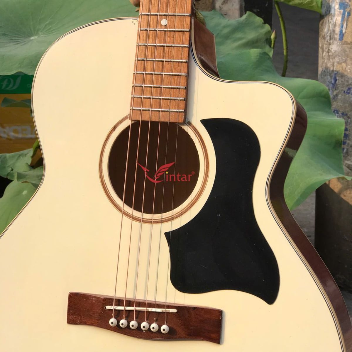 A1SK ĐÀN GUITAR ACOUSTIC GIÁ RẺ MẶT SƠN KEM