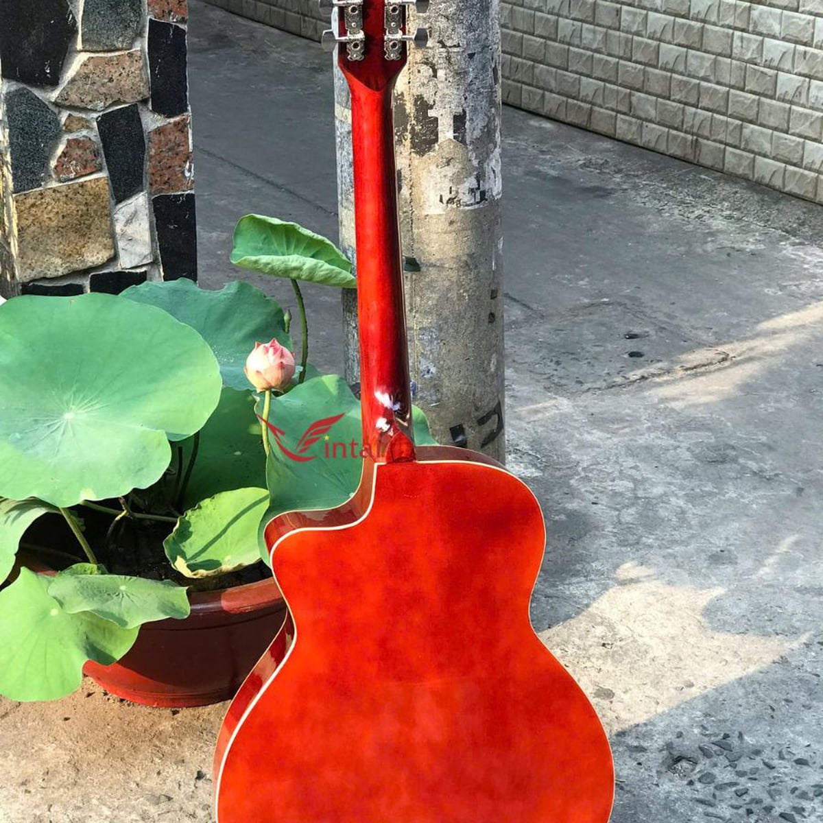 A1SK ĐÀN GUITAR ACOUSTIC GIÁ RẺ MẶT SƠN KEM