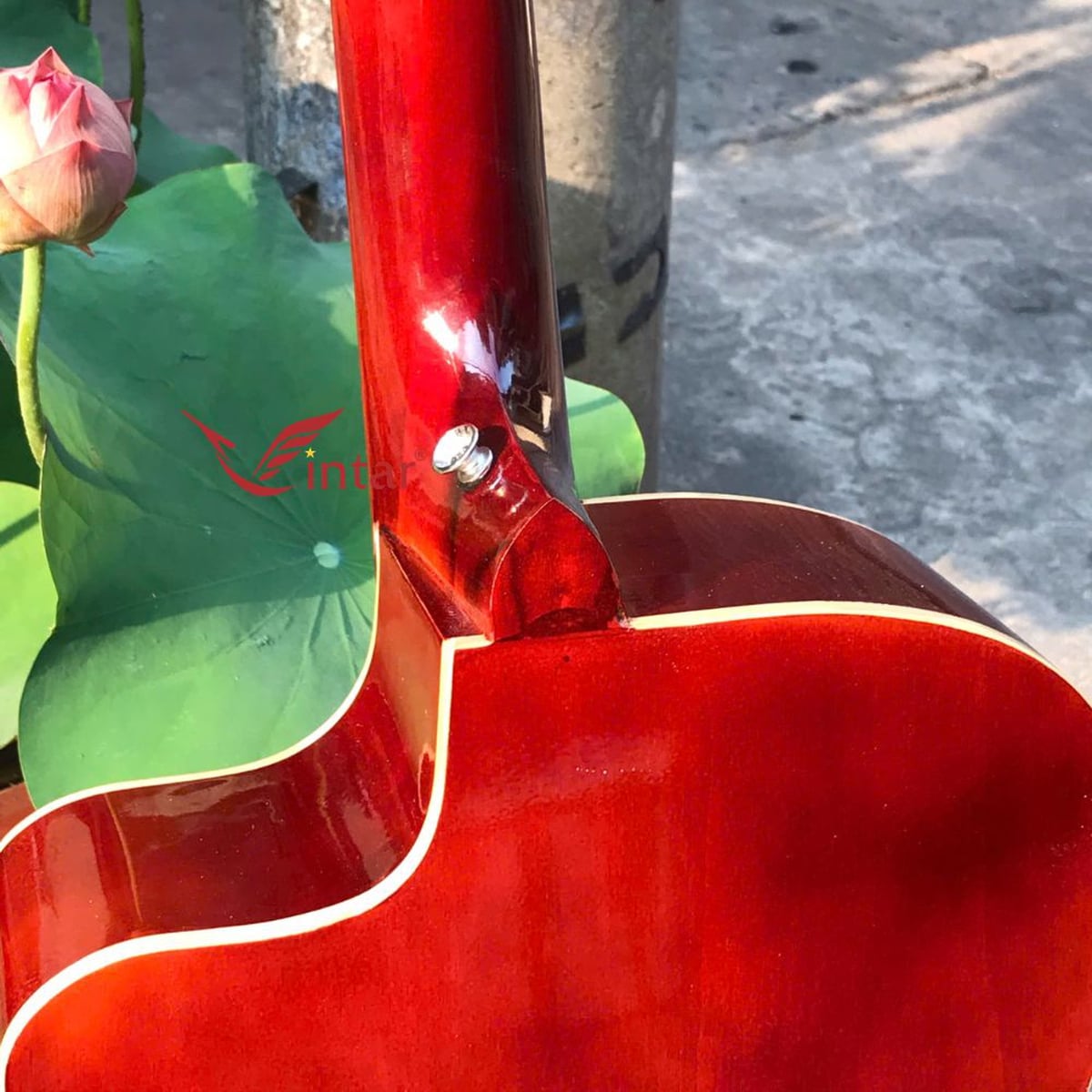 A1SK ĐÀN GUITAR ACOUSTIC GIÁ RẺ MẶT SƠN KEM