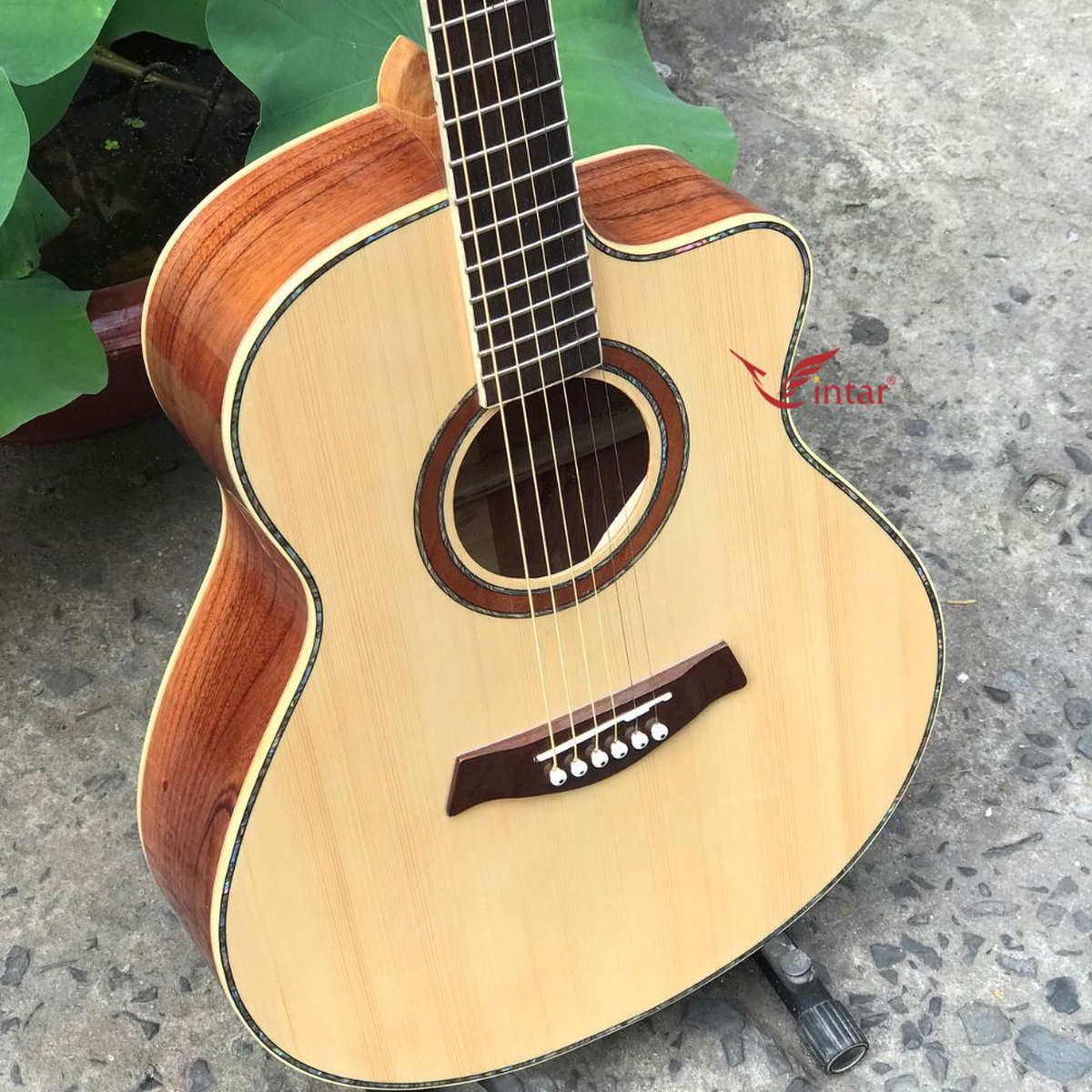 A4 - ĐÀN GUITAR ACOUSTIC GỖ HỒNG ĐÀO TOP THÔNG CAO CẤP 