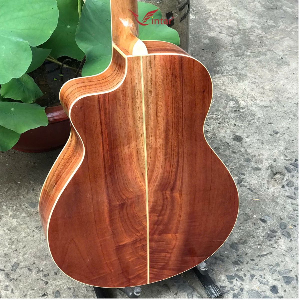 A4 - ĐÀN GUITAR ACOUSTIC GỖ HỒNG ĐÀO TOP THÔNG CAO CẤP 