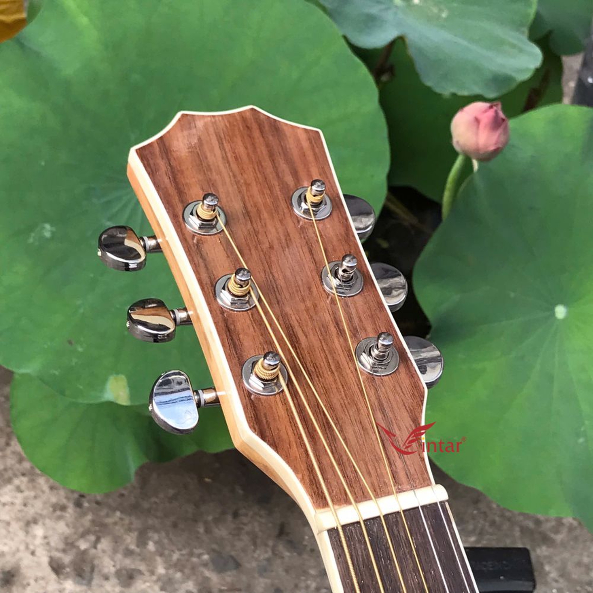 A4 - ĐÀN GUITAR ACOUSTIC GỖ HỒNG ĐÀO TOP THÔNG CAO CẤP 