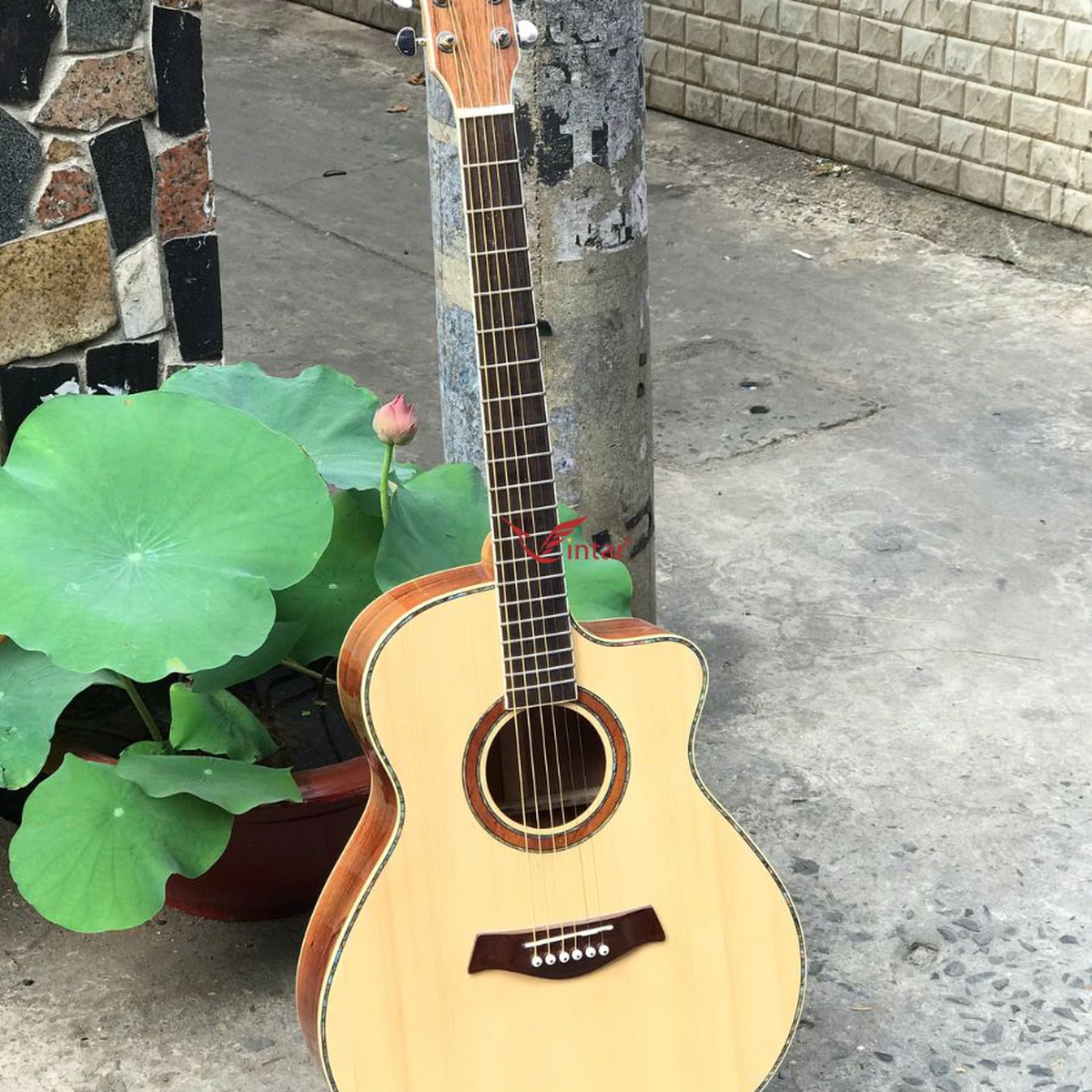 A4 - ĐÀN GUITAR ACOUSTIC GỖ HỒNG ĐÀO TOP THÔNG CAO CẤP 