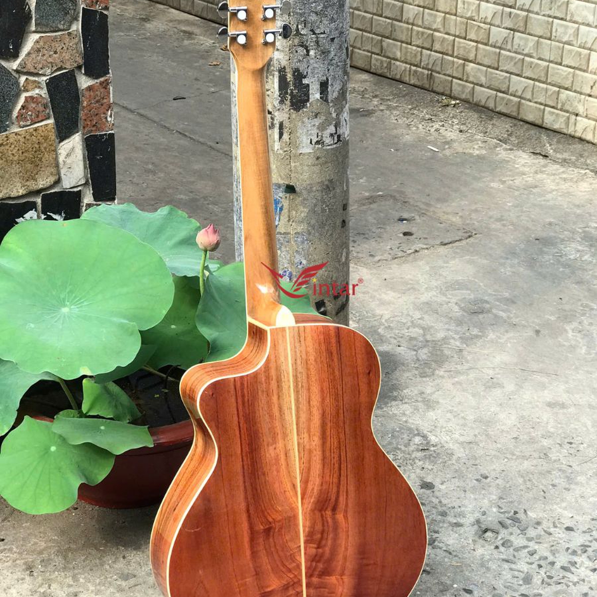 A4 - ĐÀN GUITAR ACOUSTIC GỖ HỒNG ĐÀO TOP THÔNG CAO CẤP 