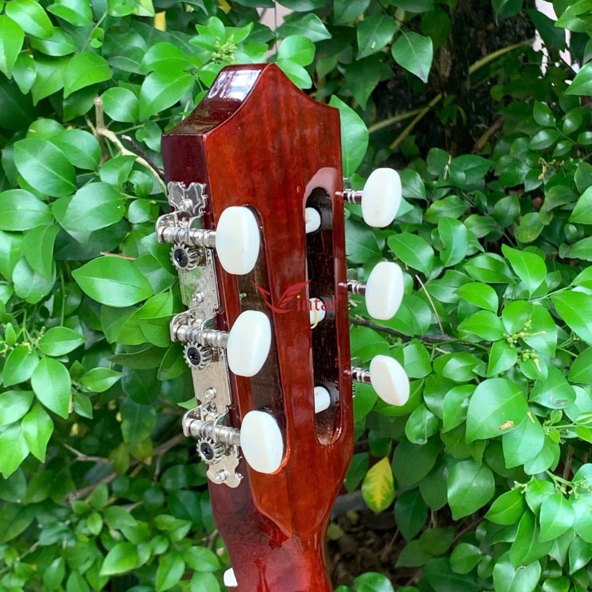  C1MIN ĐÀN GUITAR MINI CLASSIC 3/4 DÁNG KHUYẾT GIÁ RẺ