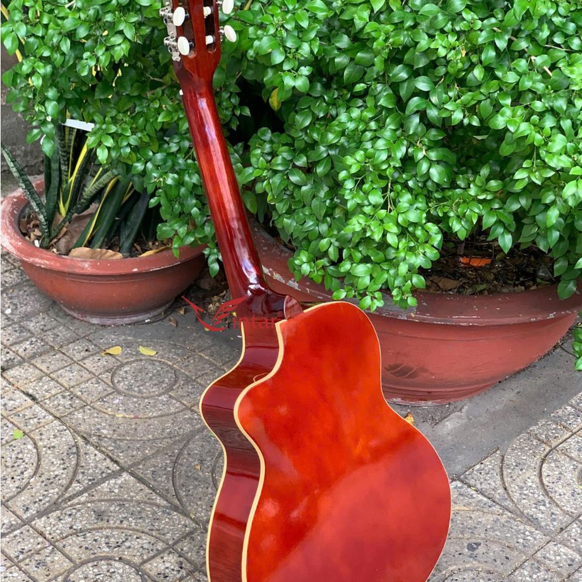  C1MIN ĐÀN GUITAR MINI CLASSIC 3/4 DÁNG KHUYẾT GIÁ RẺ