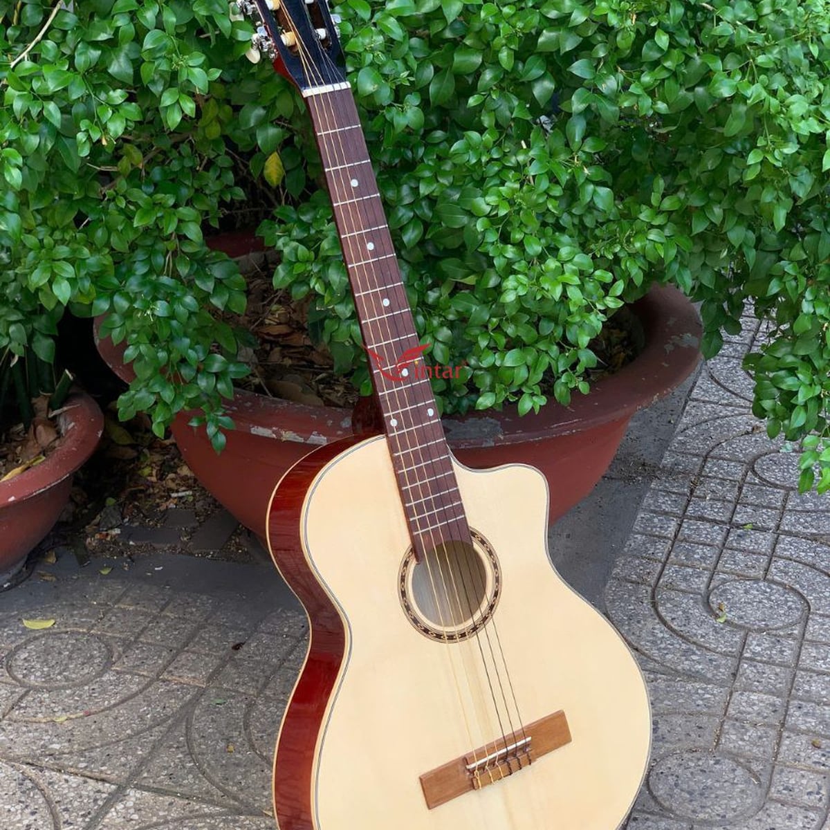  C1MIN ĐÀN GUITAR MINI CLASSIC 3/4 DÁNG KHUYẾT GIÁ RẺ