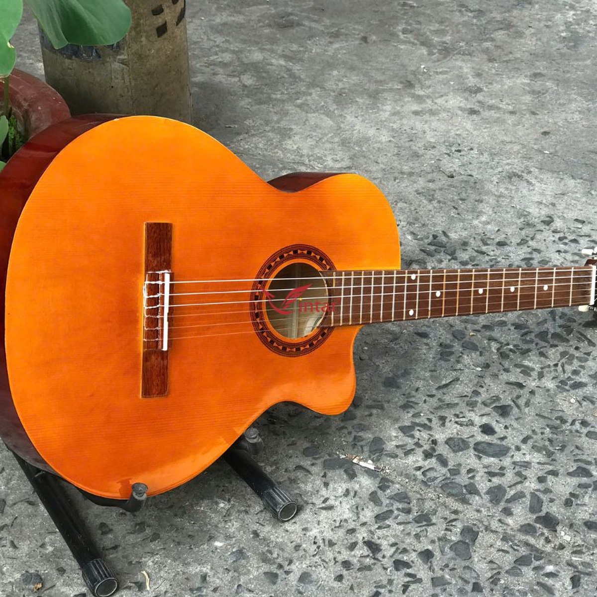 C1L2 GUITAR CLASSIC GIÁ RẺ NHẤT MẶT MÀU VÀNG