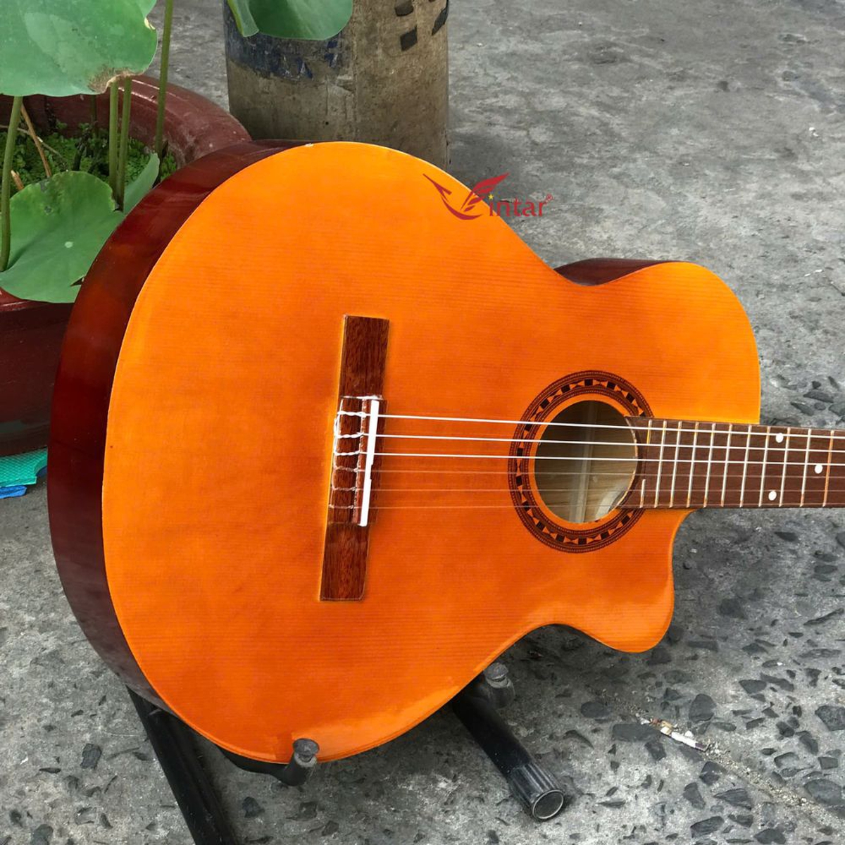 C1L2 GUITAR CLASSIC GIÁ RẺ NHẤT MẶT MÀU VÀNG