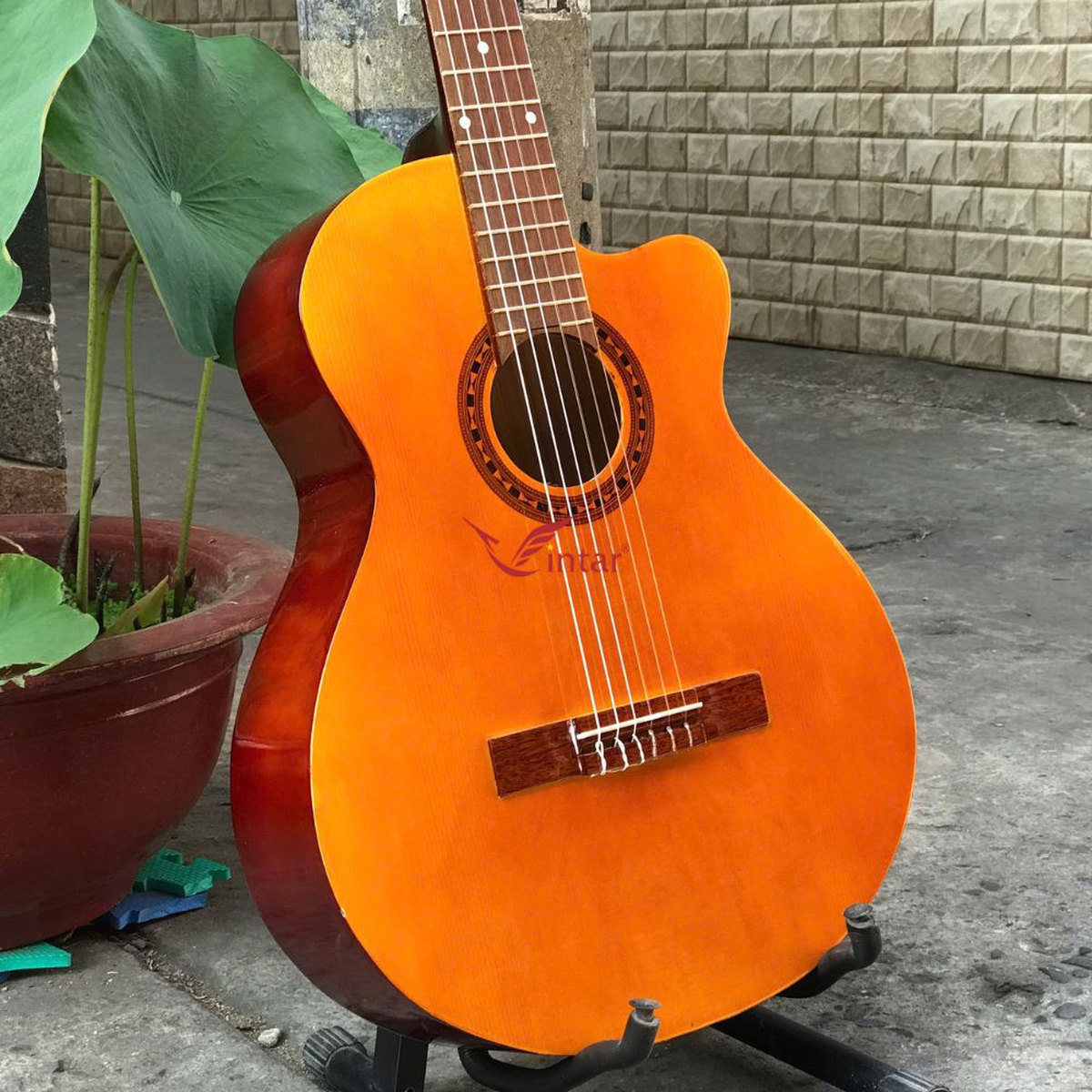 C1L2 GUITAR CLASSIC GIÁ RẺ NHẤT MẶT MÀU VÀNG
