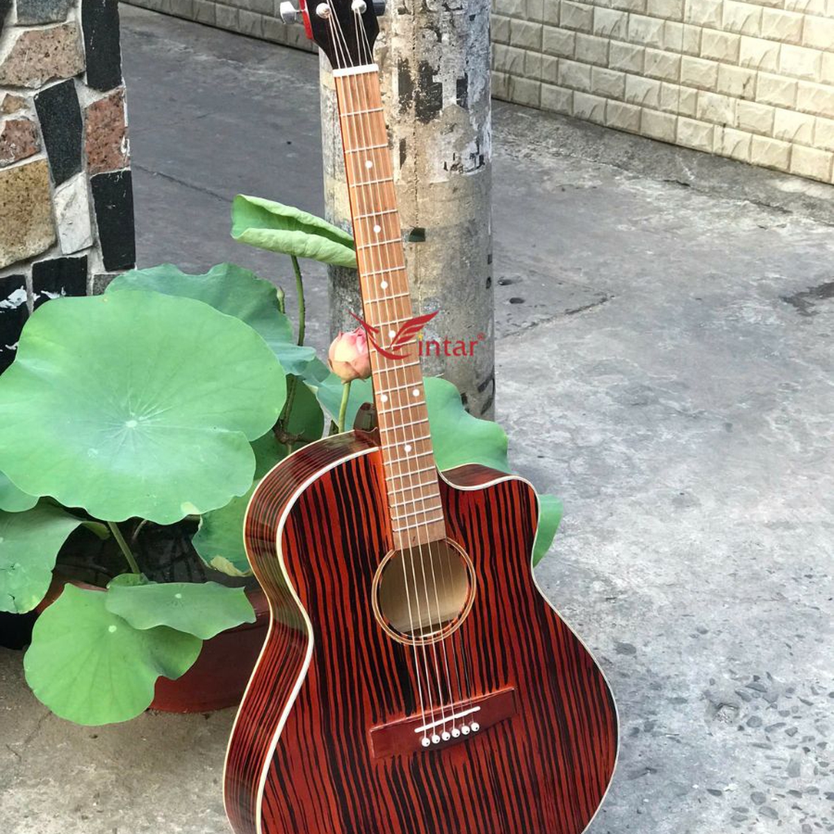 FA1 GUITAR ACOUSTIC FULL MÀU GIẢ CẨM
