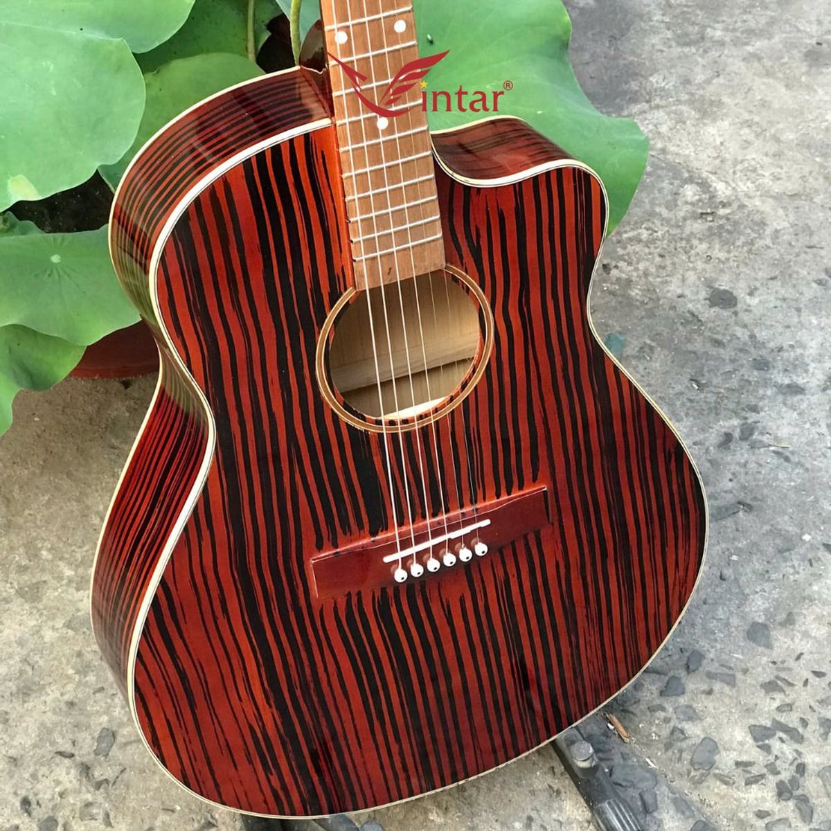 FA1 GUITAR ACOUSTIC FULL MÀU GIẢ CẨM