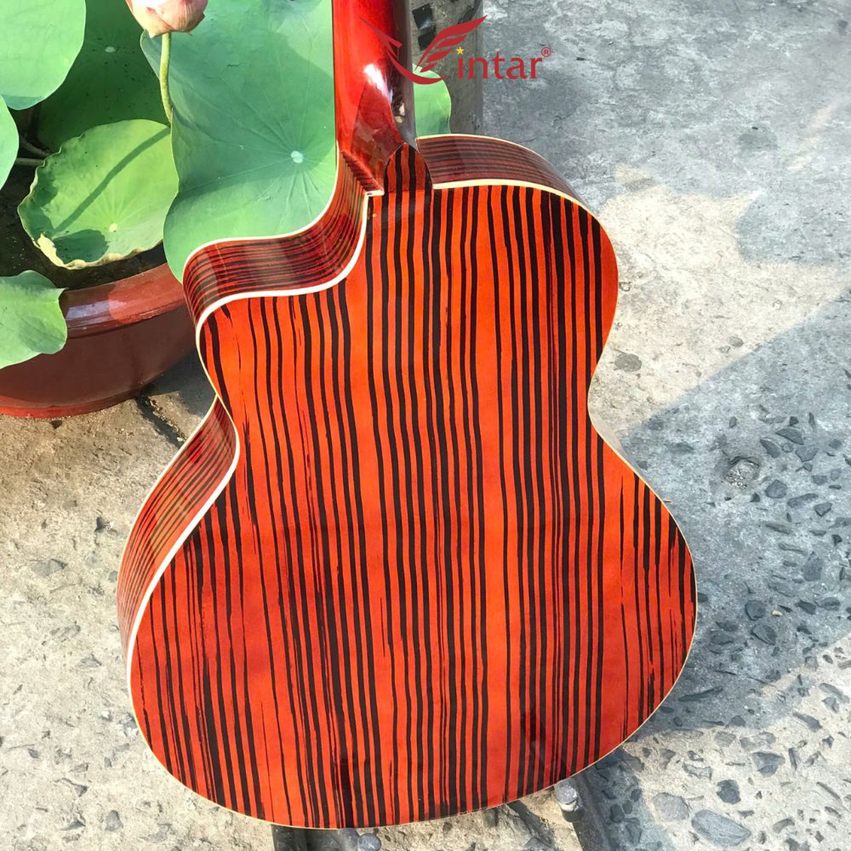 FA1 GUITAR ACOUSTIC FULL MÀU GIẢ CẨM