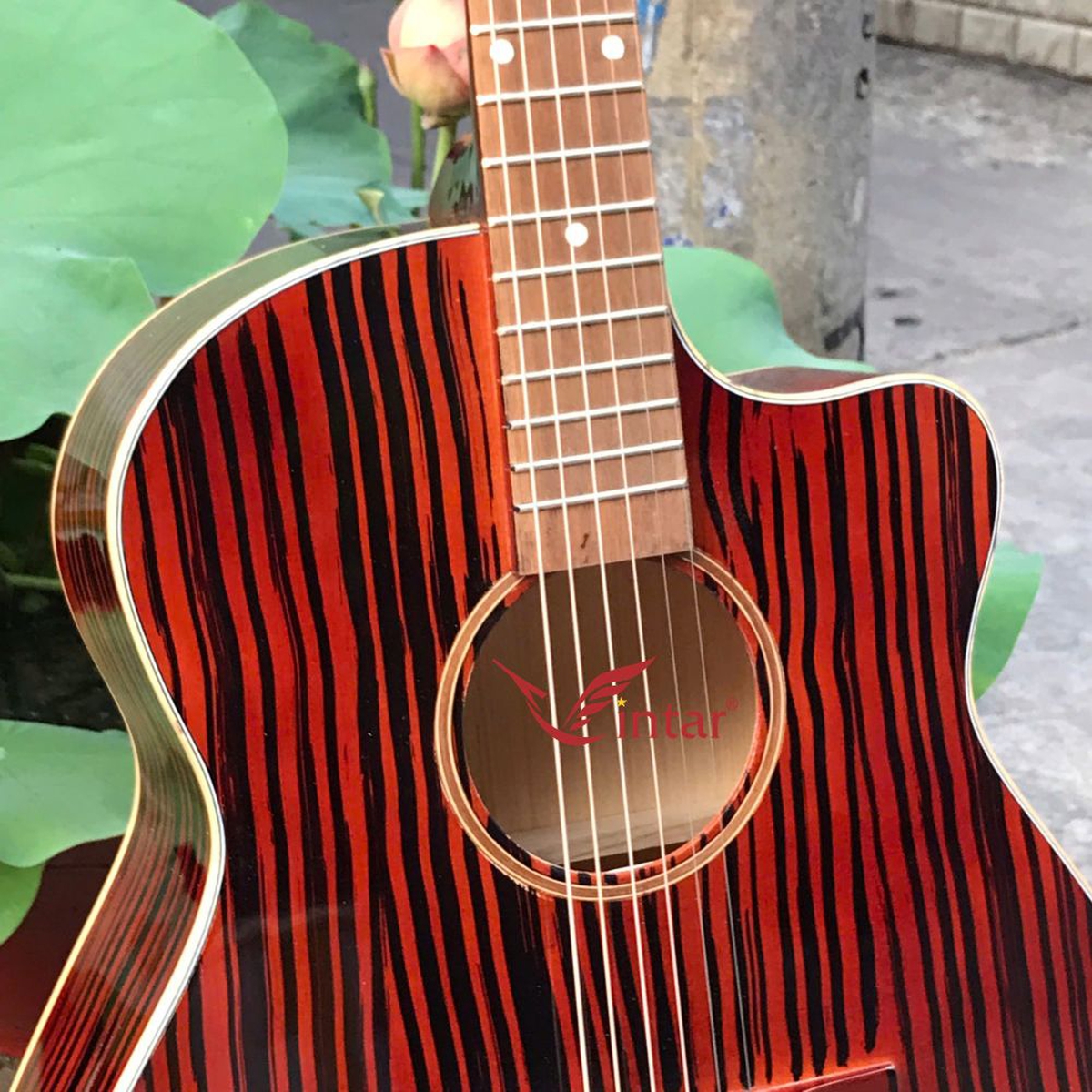FA1 GUITAR ACOUSTIC FULL MÀU GIẢ CẨM