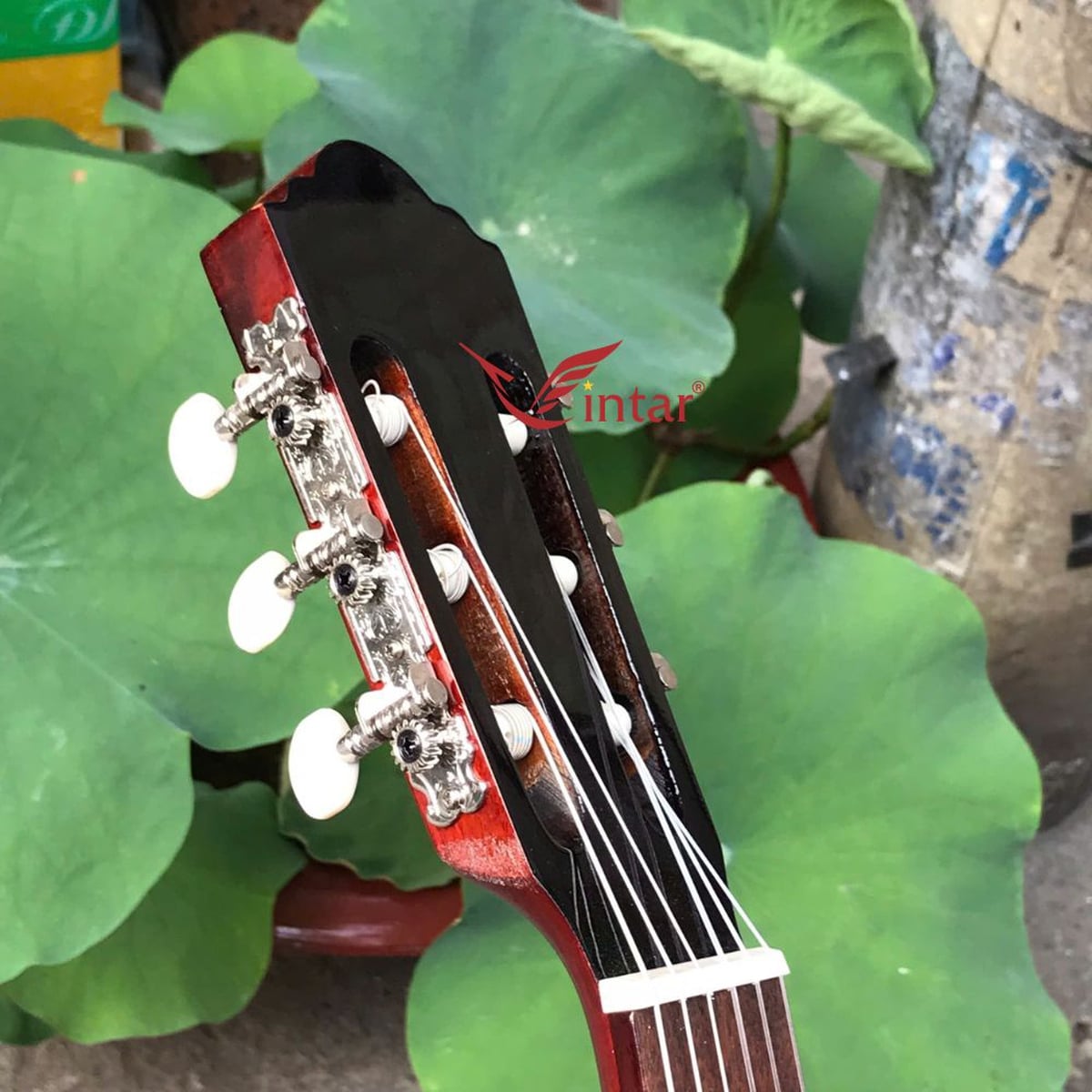 C1KV ĐÀN GUITAR CLASSIC GIÁ RẺ MẶT VÀNG