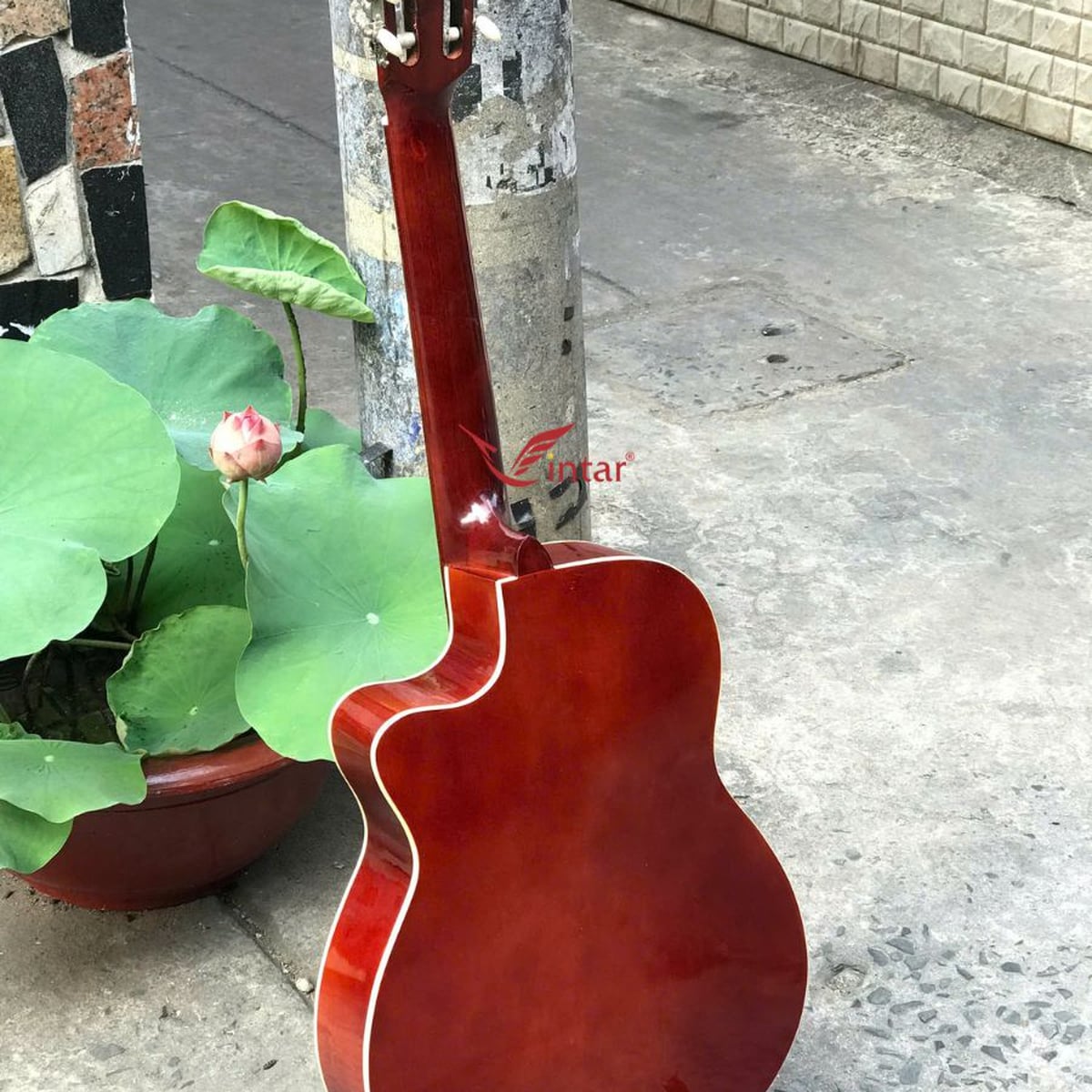 C1KV ĐÀN GUITAR CLASSIC GIÁ RẺ MẶT VÀNG