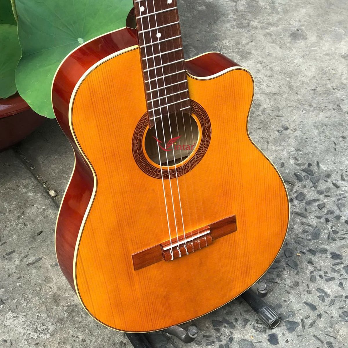 C1KV ĐÀN GUITAR CLASSIC GIÁ RẺ MẶT VÀNG