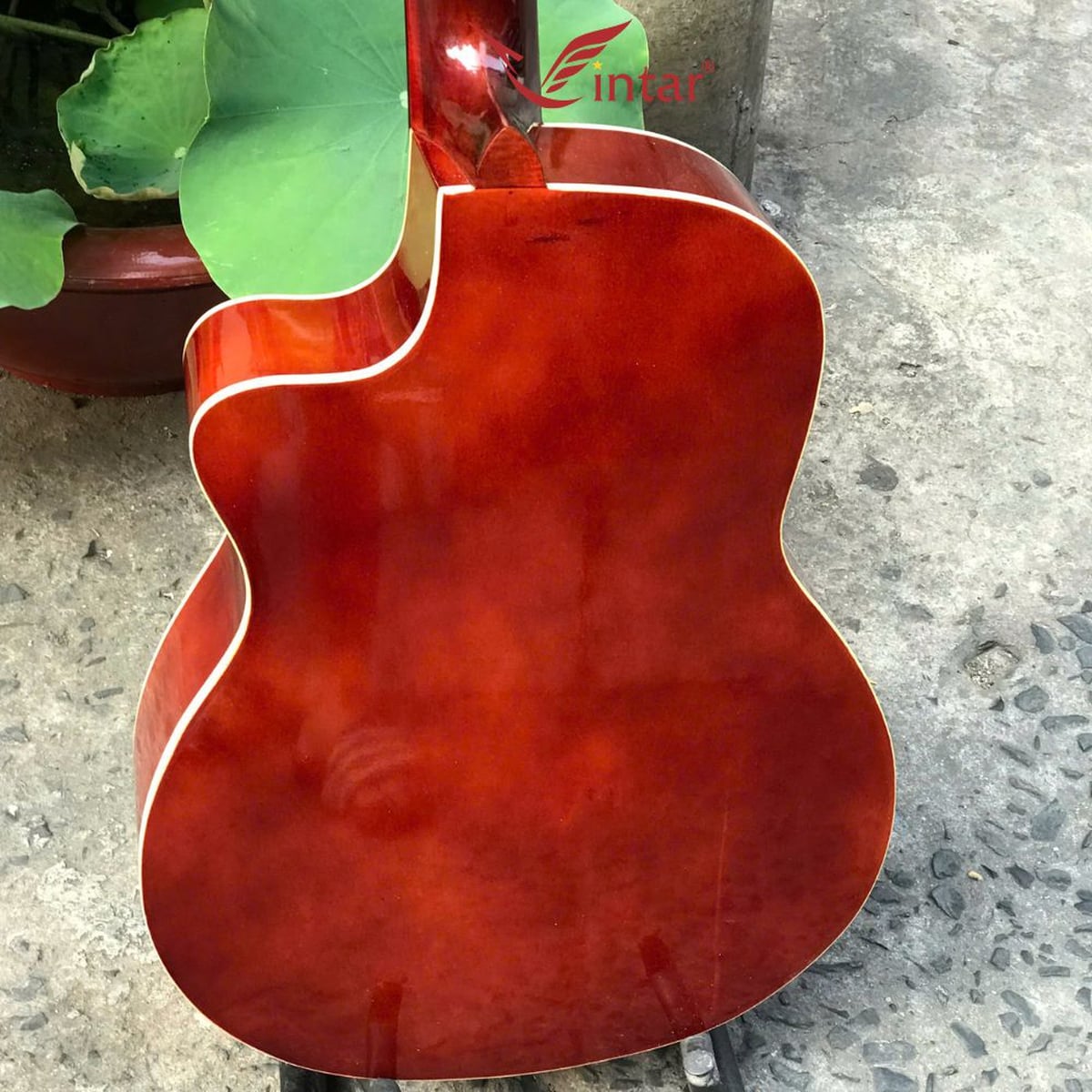 C1KV ĐÀN GUITAR CLASSIC GIÁ RẺ MẶT VÀNG