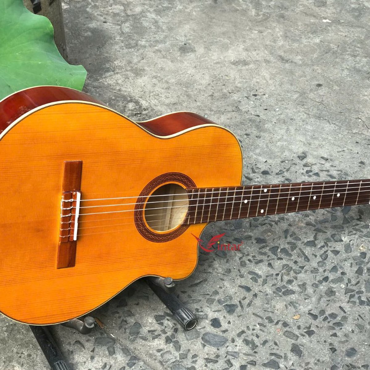 C1KV ĐÀN GUITAR CLASSIC GIÁ RẺ MẶT VÀNG