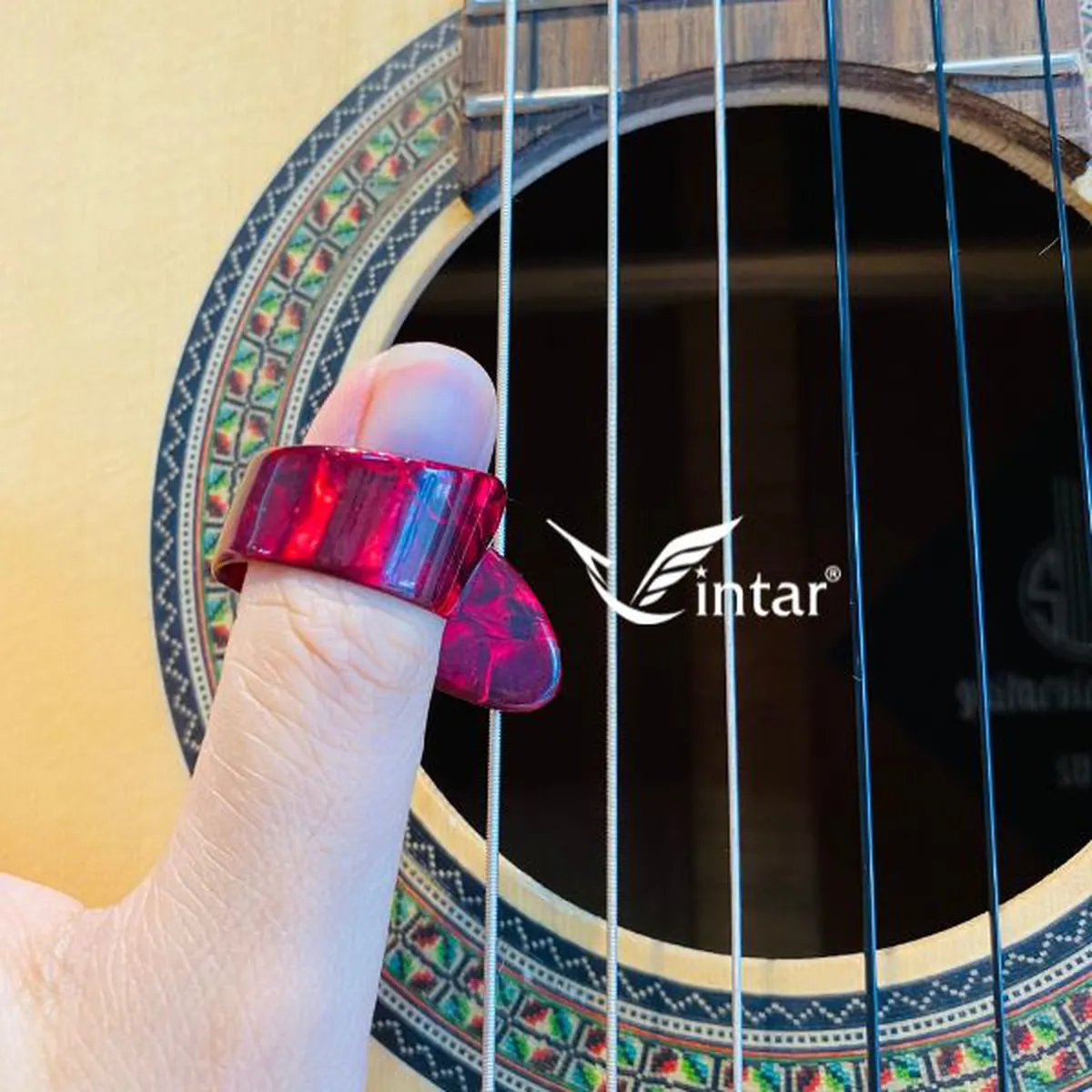 Móng Giả Chơi Guitar Tay Cái Alice
