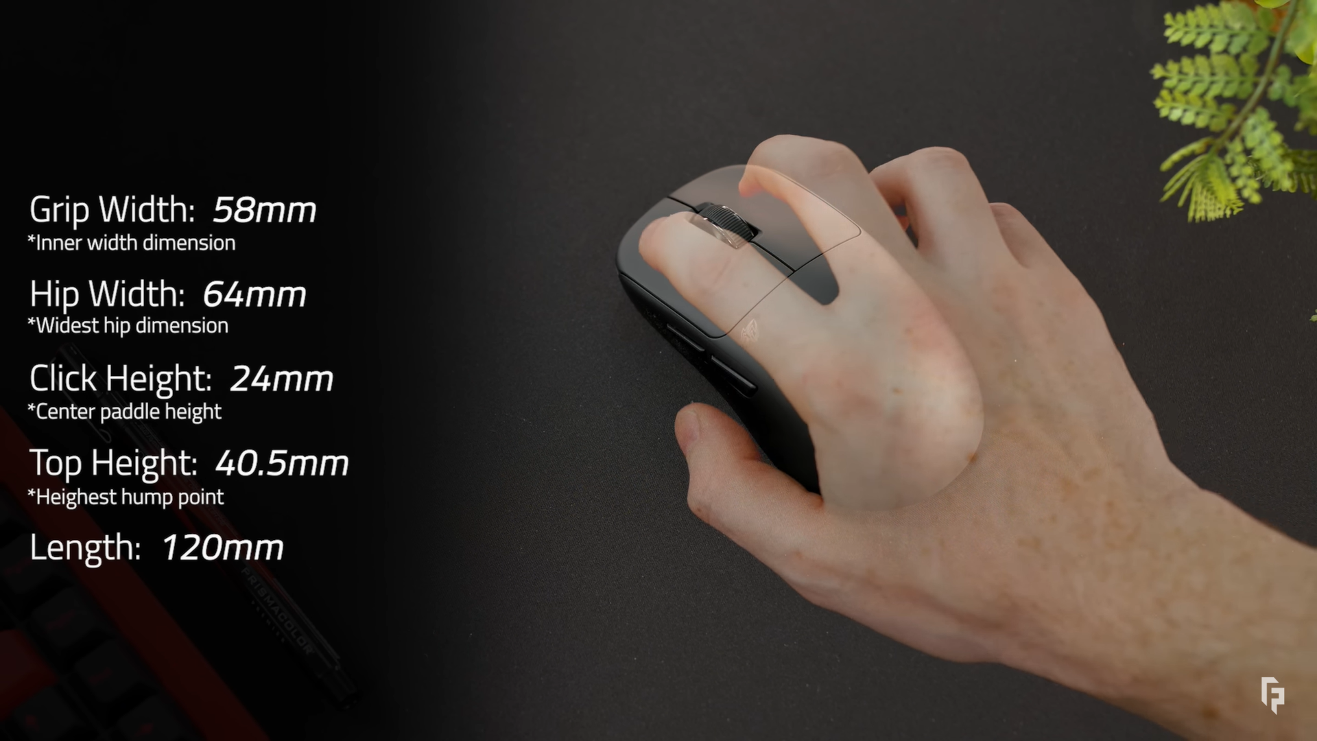 pulsat tenz kich thuoc