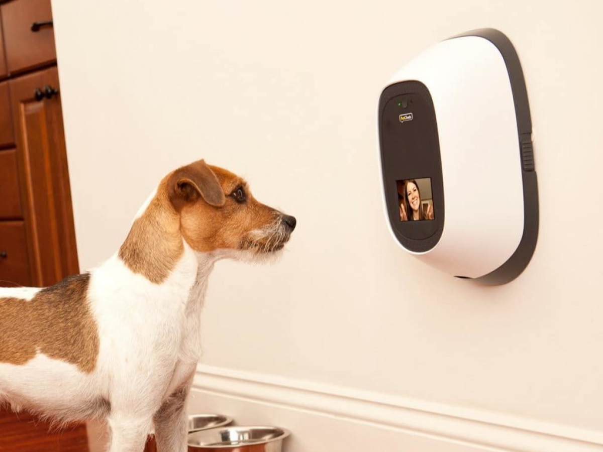 thiet-bi-nha-thong-minh-cho-thu-cung-camera-thong-minh