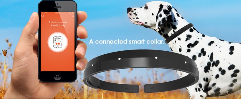 thiet-bi-nha-thong-minh-cho-thu-cung-vong-co