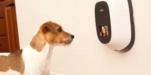 THIẾT BỊ NHÀ THÔNG MINH CHO THÚ CƯNG