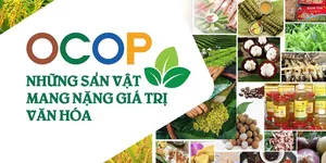Tóm tắt về chương trình OCOP